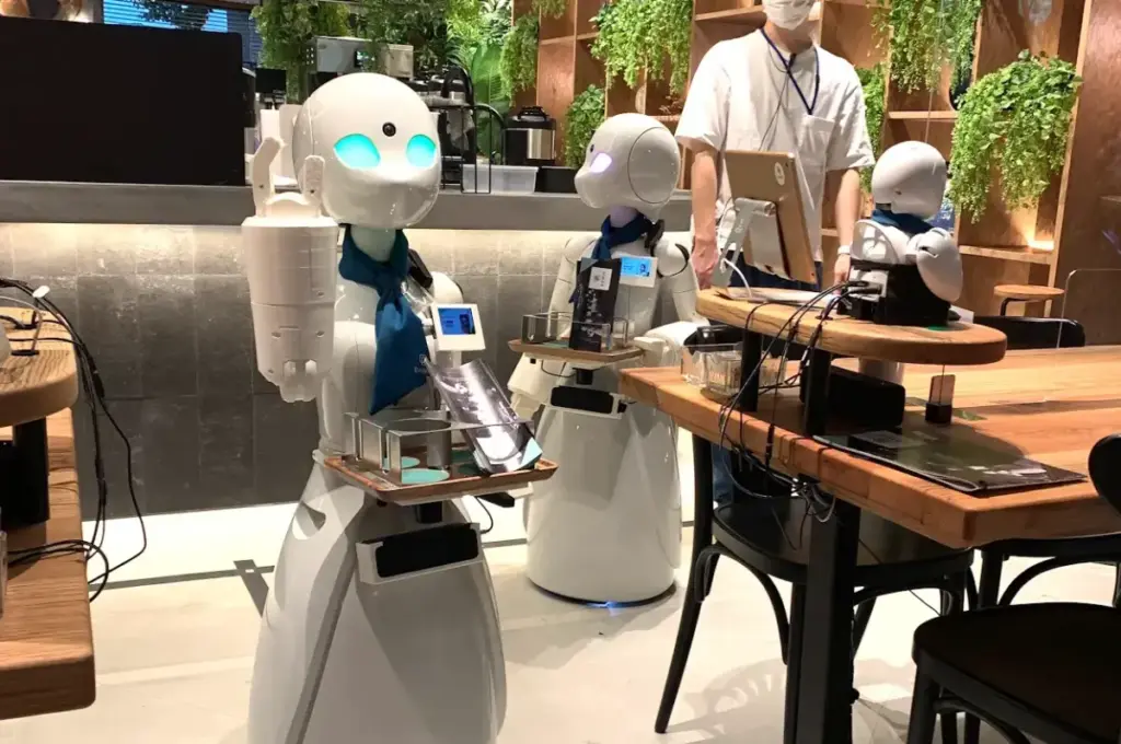 Japan's Robot Cafés Explained